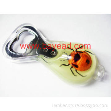 real insect amber lucite Bottle Opener,unique  Bottle Opener